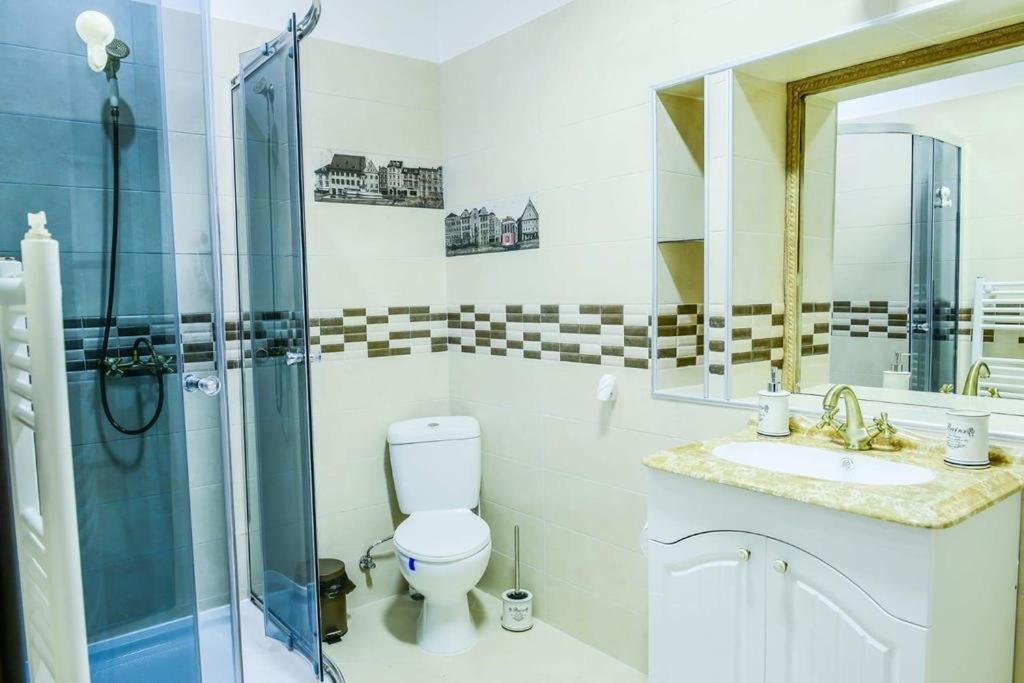 Mary Apartment Old Town Брашов Экстерьер фото