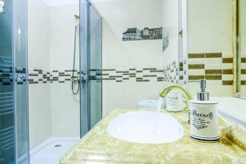 Mary Apartment Old Town Брашов Экстерьер фото